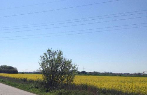 Holiday home with 3 bedrooms - Foto 25