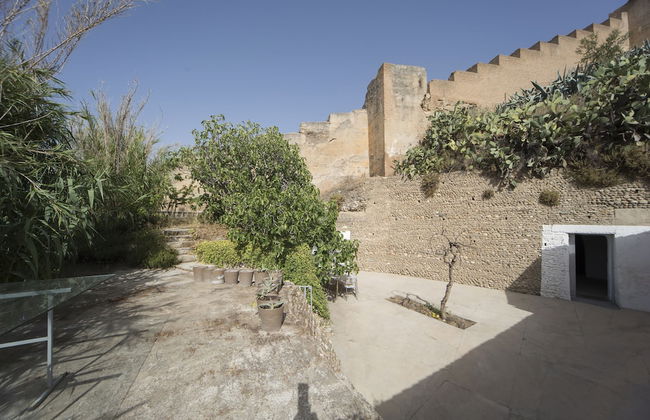 Cuevas del Cohetero - Sacromonte - Foto 18