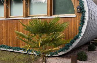 L'Oasis des Coccinelles - Foto 65