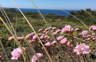 Your Vintage Townhouse - Foto 48