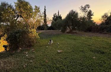 Country Vila - Foto 17