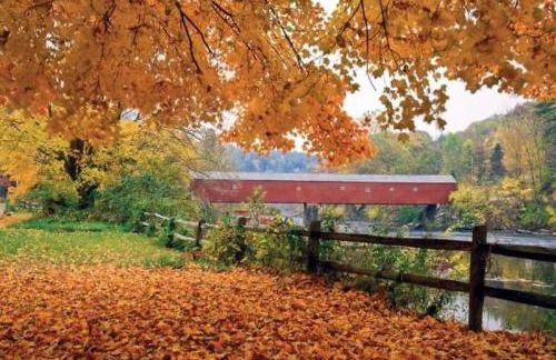 The Woodridge Retreat - Foto 9