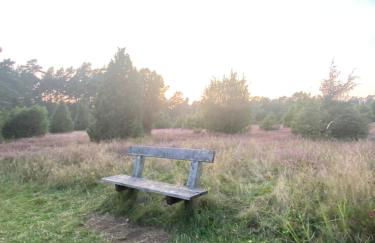 Heidegut Eschede Reitsportanlage und Feriendorf - Foto 52