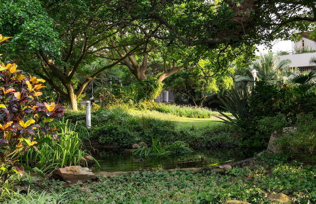 302 Oyster Schelles - Foto 29