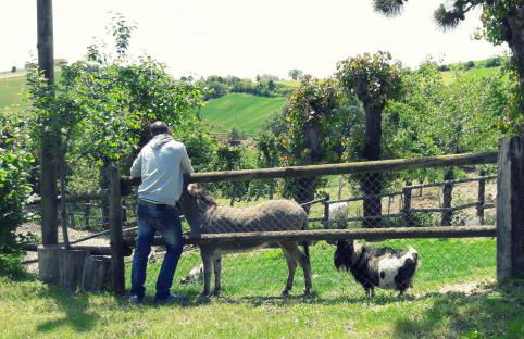 Azienda Agrituristica Colle San Giorgio - Foto 49