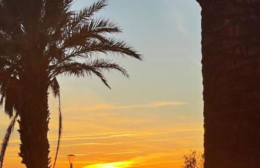 "Les Palmiers" Studio spacieux vue mer Terrasse & Parking - Foto 10