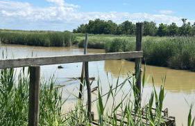 Maison d'exception avec piscine - Foto 6