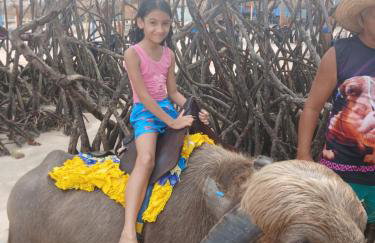 Hoste sol nascente - Photo 7