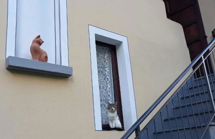 Appartamenti Via Monte Braulio 19 - Photo 55