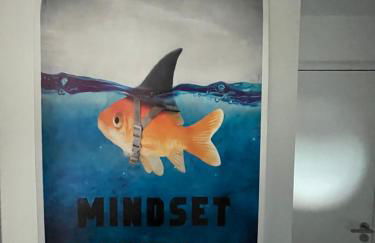 Louis XIV, Le Somail. - Foto 46