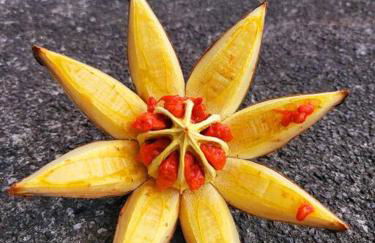 Unique Lava House by steaming crater - Photo 47