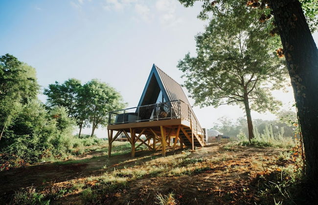 Starlight Haven Weiss Lake - Photo 75