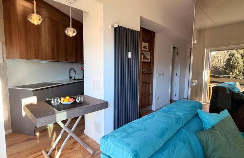 Modern apartment with balcony & lake view Verbania - Foto 46