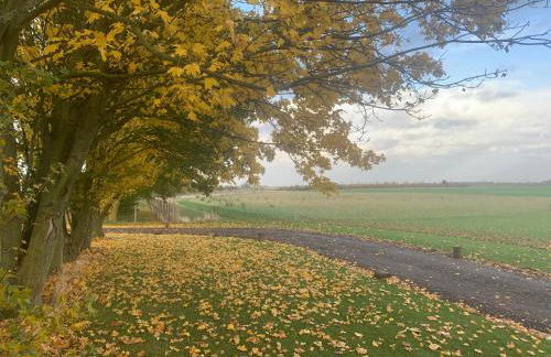 Oak Cottage at Gravel Farm - Photo 21