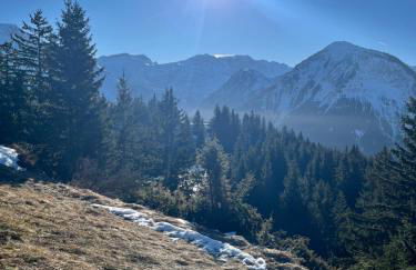Chalet école des cimes - Foto 64