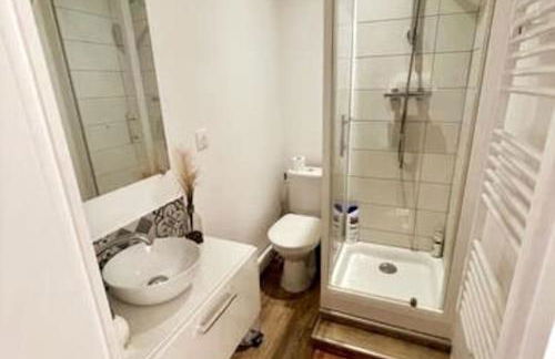 Britich 3D: Suite spa privé, clim, thermal/Artem - Photo 14