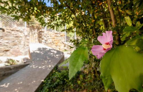 Casa Feli - APARTAMENTO con JARDÍN PRIVADO en los PIRINEOS - Foto 35