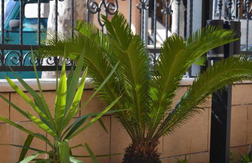 Residence Della Vista - Foto 11