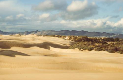 Beach Retreat - Foto 18