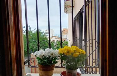 Casco Antiguo - Photo 11