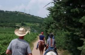 Casa Vacanze Giacomo Leopardi - Foto 48