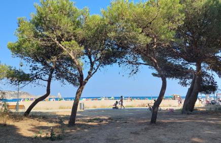 Primera Línea con Vistas al Mar y Piscina - Foto 10