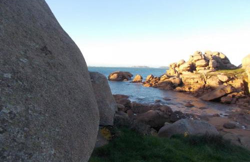 Les hortensias - Foto 41