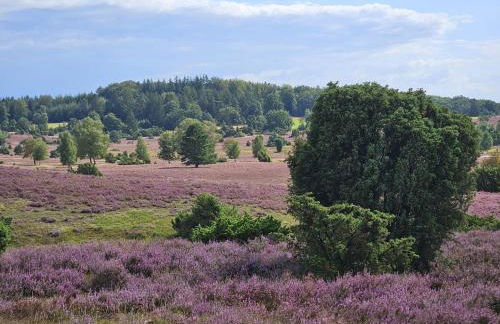 Stadtblick - Foto 28
