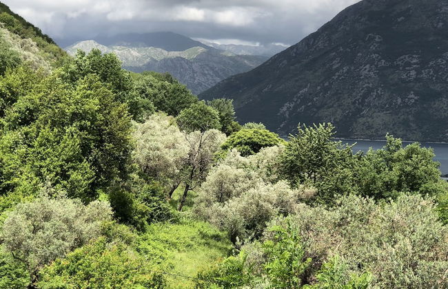 Two Bedroom Apartment With Amazing Views - Foto 20