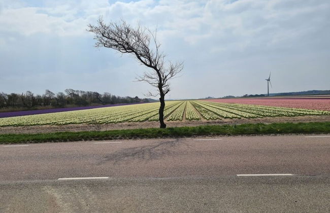 Vision Comfortable Holiday Residence - Foto 2