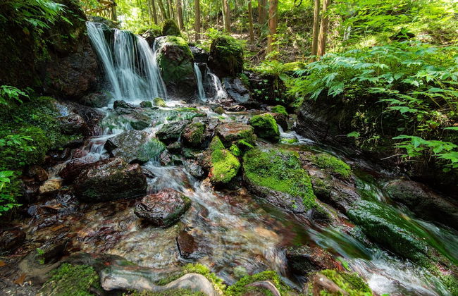 八百熊川 Yao-Kumagawa - Foto 63