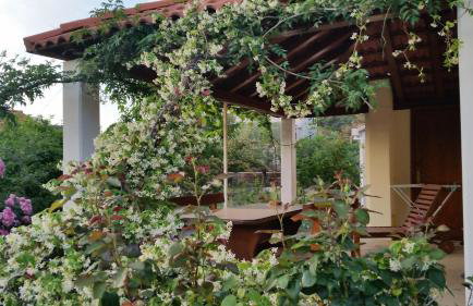 Apartments Marita - Foto 30