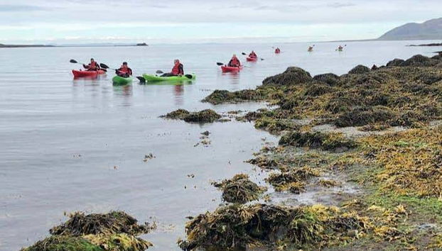 Grundarfjörður Kayak Tour - Foto 4