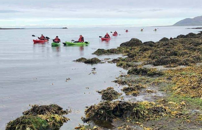 Grundarfjörður Kayak Tour - Foto 4
