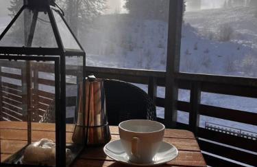 Stube9 am Feldberg, direkt an der Skipiste, Ski in-Ski out - Photo 32