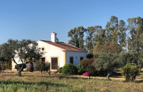 Monte da Azinheira - Foto 4