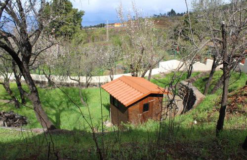 Falcon Crest - Photo 40