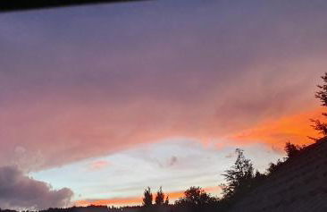 Wohnung im Schwarzwald mit Panorama Blick - Foto 41