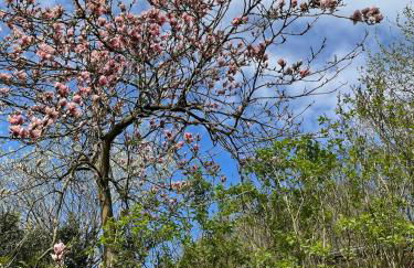 Ruhiges Häuschen am Wald mit Kamin, Terrasse - Foto 37