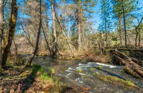 Your Spacious Escape: Creek, Pool, Sauna, Hot Tub - Foto 8