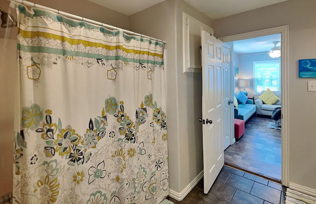 Blue Curlew - Photo 24