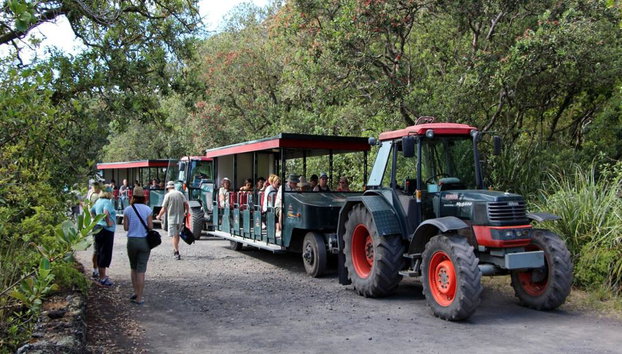 Balsa de Retorno a Rangitoto - Foto 4