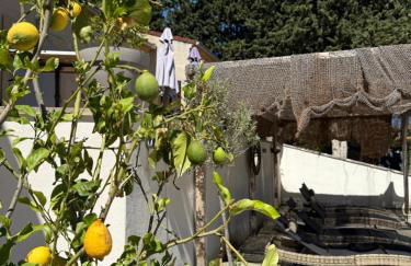 La Villa de Marius - Foto 75