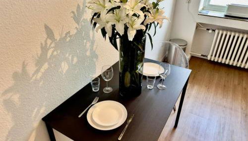 Spectecular Rhineview Fair Parking Luxury 12 Pers - Foto 3