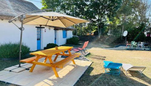 Charmante Bourrine avec Jardin Clôturé, à 3km de la Plage, Animaux Admis - FR-1-777-10 - Foto 2