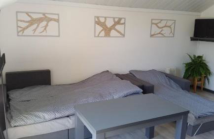 Domek Pod Brzozami - Foto 22