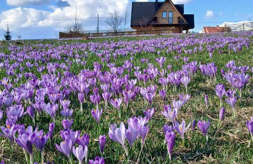 Tatra West Farm - Foto 43