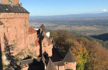 Le Logis du Vignoble - Foto 15
