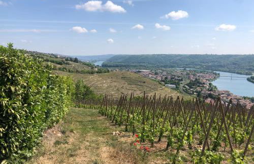 Condrieu et parking voiture vélo 2 ème étage - Foto 26