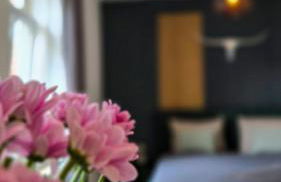 NUWILU TWO - WOHLFÜHLAPARTMENT im Herzen Erfurts - Magenta TV- Netflix - Disney - Foto 4